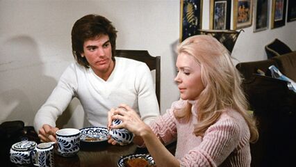 Признание молодой домохозяйки (1974) ретро порно кино с переводом