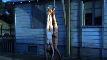 Ильза - волчица СС, порно фильм для взрослых