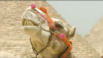 Пирамида 3 / Private Gold 13: Pyramid (порно фильм №3) с русским переводом