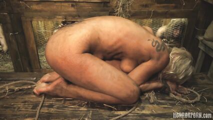 Пленницы в кроличьей клетке — порно ужасы на ночь