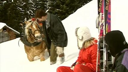 Лавина 2: Секс в Альпах (2001) с русским переводом